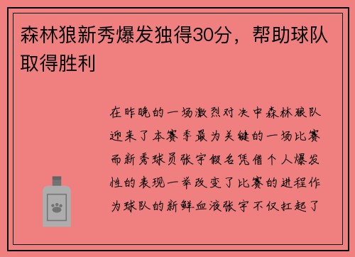 森林狼新秀爆发独得30分，帮助球队取得胜利